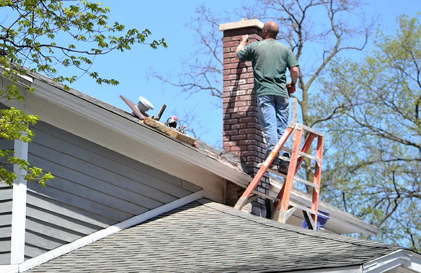 Chimney & Fireplace Inspections Services in Sevierville, TN